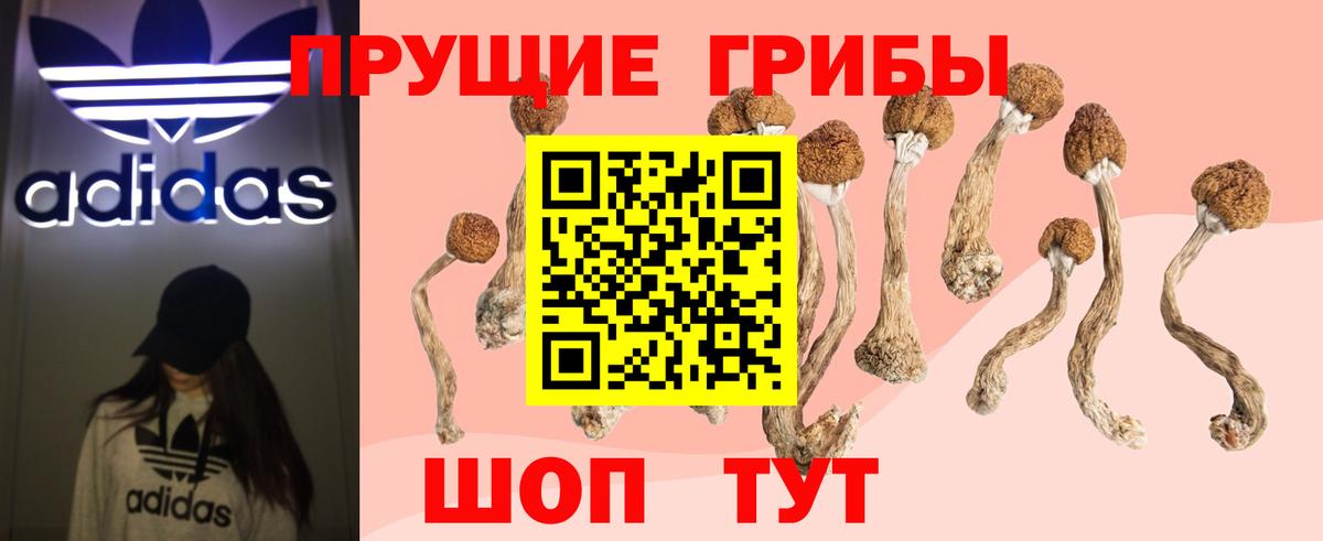 Реутов  цена   Вход с VPN  Псилоцибиновые грибы MAGIC MUSHROOMS 
